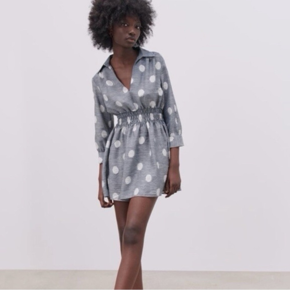 Zara Polka Dot Mini Dress